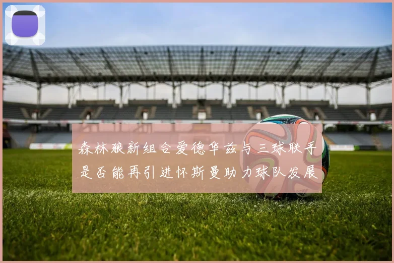 森林狼新组合爱德华兹与三球联手是否能再引进怀斯曼助力球队发展